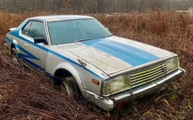 Vintage blue-striped car abandoned in a field.