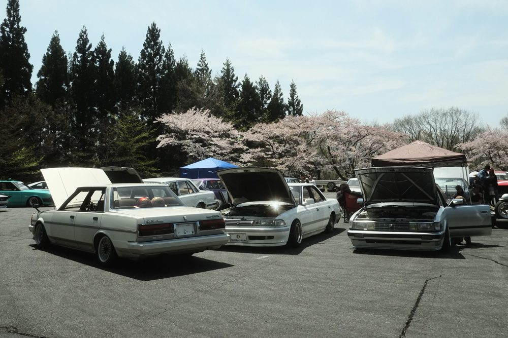 Classic Toyotas with open hoods at outdoor car show, surrounded by cherry blossoms and tents.